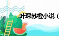 叶琛苏橙小说（叶琛苏橙小说）