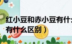 红小豆和赤小豆有什么不同（红小豆和赤小豆有什么区别）