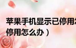 苹果手机显示已停用怎么办（苹果手机显示已停用怎么办）