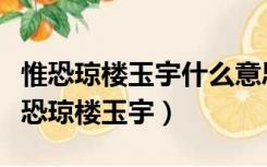 惟恐琼楼玉宇什么意思（又恐琼楼玉宇还是惟恐琼楼玉宇）