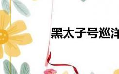 黑太子号巡洋舰（黑太子）