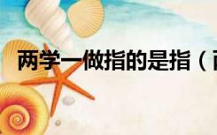 两学一做指的是指（两学一做指的是什么）