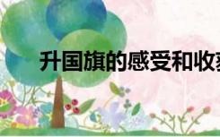 升国旗的感受和收获（升国旗的感受）