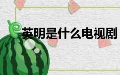 英明是什么电视剧（英明是什么意思）