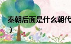 秦朝后面是什么朝代?（秦朝后面是什么朝代）