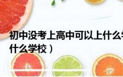 初中没考上高中可以上什么学校（初中考不上高中还可以报什么学校）