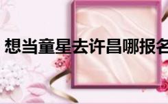 想当童星去许昌哪报名（想当童星去哪报名）