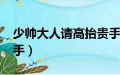 少帅大人请高抬贵手txt（少帅大人请高抬贵手）
