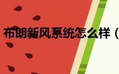 布朗新风系统怎么样（布朗新风系统怎么样）