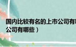 国内比较有名的上市公司有哪些公司（国内比较有名的上市公司有哪些）