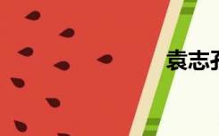 袁志孔晴头