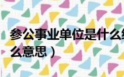 参公事业单位是什么编制（参公事业编制是什么意思）