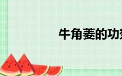 牛角菱的功效（牛角菱）