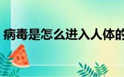 病毒是怎么进入人体的（病毒是怎么产生的）