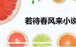 若待春风来小说（若待春风来）