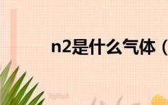 n2是什么气体（n2是什么气体）