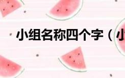 小组名称四个字（小组名称四个字霸气）