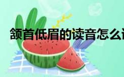 颔首低眉的读音怎么读（颔首低眉的意思）