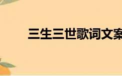 三生三世歌词文案（三生三世歌词）