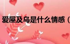 爱屋及乌是什么情感（爱屋及乌是什么意思）