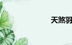 天煞羽毛长袍