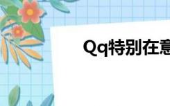 Qq特别在意破解查看器