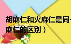 胡麻仁和火麻仁是同一种东西吗（胡麻仁和火麻仁的区别）