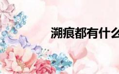 溯痕都有什么作品（溯痕）