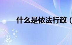 什么是依法行政（什么是依法行政）