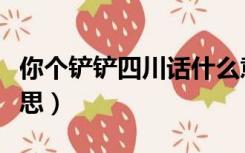 你个铲铲四川话什么意思（铲铲四川话什么意思）