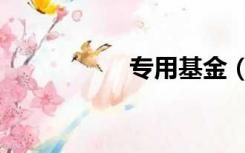 专用基金（专用基金）