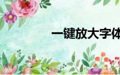 一键放大字体（一键小退）