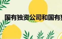 国有独资公司和国有独资公司有什么区别？