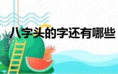 八字头的字还有哪些（八字头的字有哪些）