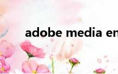 adobe media encoder exe在运行