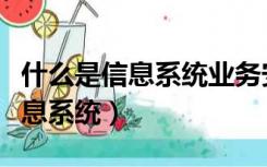 什么是信息系统业务安全服务资质（什么是信息系统）