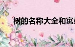 树的名称大全和寓意（树的名称大全）
