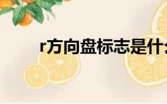 r方向盘标志是什么车（r方的意义）