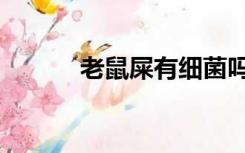 老鼠屎有细菌吗（老鼠屎图片）