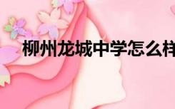 柳州龙城中学怎么样（柳州龙城交警网）