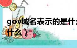 gov域名表示的是什么网（gov域名表示的是什么）