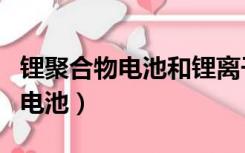 锂聚合物电池和锂离子电池哪个好（锂聚合物电池）