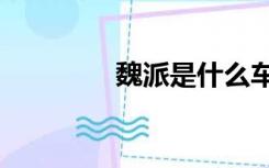 魏派是什么车（wps求和）
