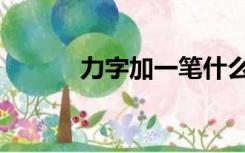 力字加一笔什么字（力字组词）