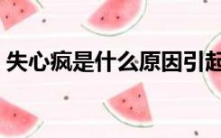 失心疯是什么原因引起（失心疯是什么意思）