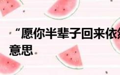 “愿你半辈子回来依然是少年”这句话是什么意思