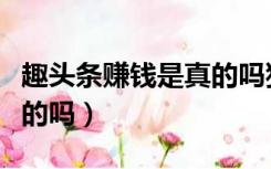 趣头条赚钱是真的吗犯法吗（趣头条赚钱是真的吗）