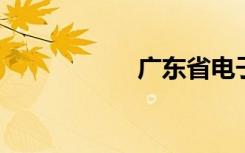 广东省电子发票打印