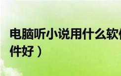 电脑听小说用什么软件（电脑听小说用什么软件好）