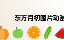 东方月初图片动漫（东方月初图片）